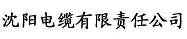 亚洲综合在线大香蕉电缆厂logo